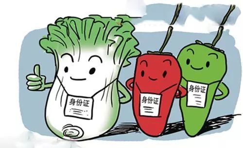 海门154所学校食堂安全状况怎么样 春季学校食品安全专项检查结果公布