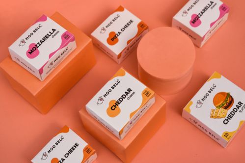 农产品 土特产 快餐 食品 产品战略与包装系统规划
